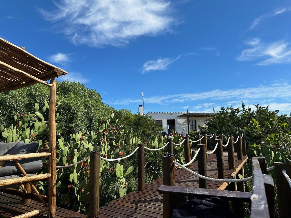 Ostrich Cottage At Les Wings Private Game Farm Groot-Jongensfontein Extérieur photo