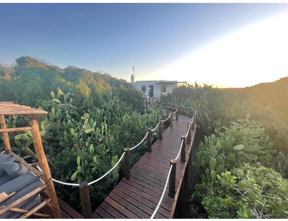 Ostrich Cottage At Les Wings Private Game Farm Groot-Jongensfontein Extérieur photo